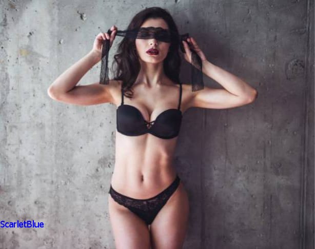 Choosing the Perfect Personal Companion image 2